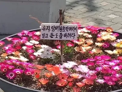 안내판 화끈하네