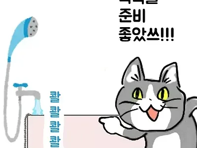 의외로 많다는 죽음