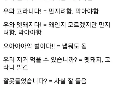 중사가 알려주는 군대 용사어