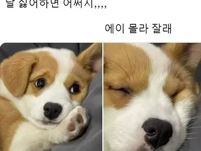 아 몰랑
