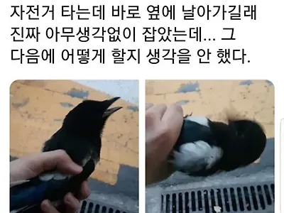 새가 날아가길래 엉겁결에..