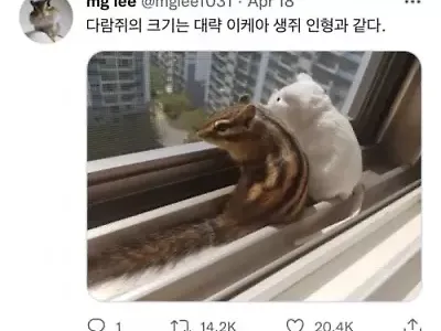 ㅎㅎ 작네요