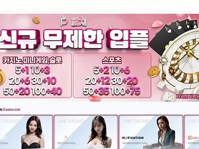 피치 먹튀 확정