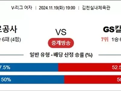 11월 19일 KOVO여 도로공사 GS칼텍스