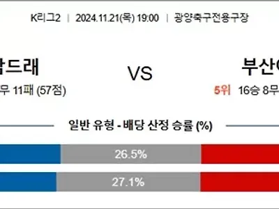 11월 21일 K리그2 전남드래 부산아이