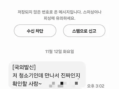 성의 없는 국제 스팸 메일