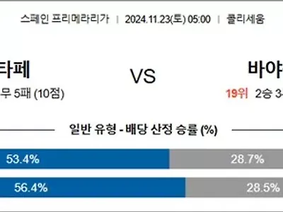 11월 23일 라리가 헤타페 바야돌리