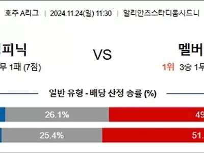 11월 24일 A리그 2경기