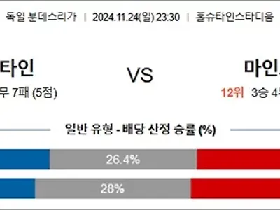 11월 24-25일 분데스리 2경기