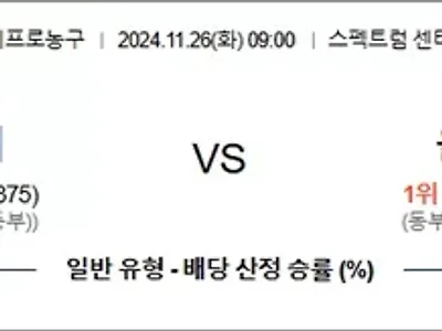 11월 26일 NBA 9경기