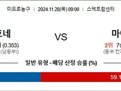 11월 28일 NBA 14경기