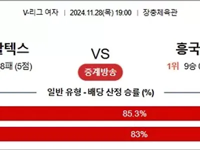 11월 28일 KOVO여 GS칼텍스 흥국생명