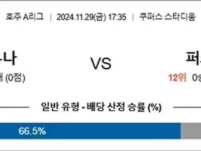 11월 29일 호주 A리그 애들유나 퍼스글로