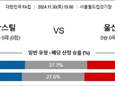 11월 30일 한국FA컵 포항스틸 울산HD