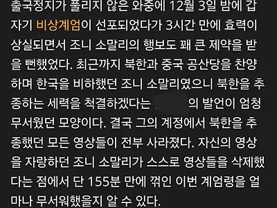 꼬리 내린 가짜 광기