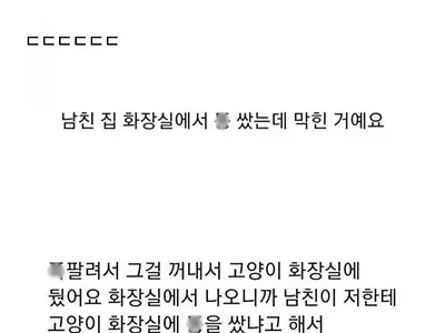 1년전 떠난 고양이