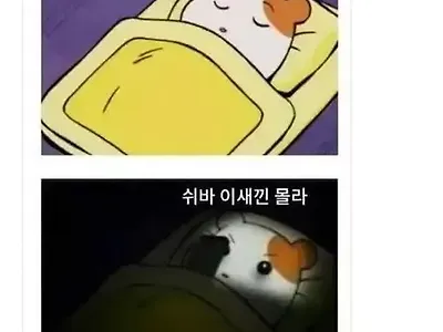 요즘 더 피곤한 이유