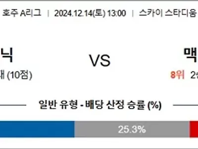 12월 14일 호주A리그 4경기