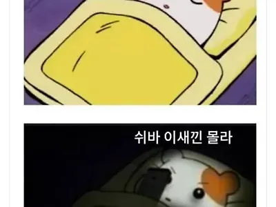 요즘 우리가 피곤과 불면증을 달고사는 이유