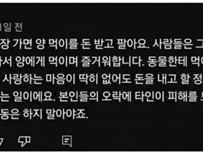 캣맘 뼈 때리는 공감 댓글