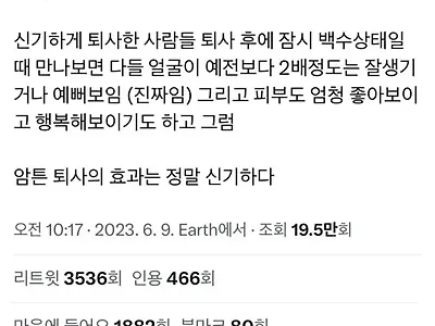퇴사의효능