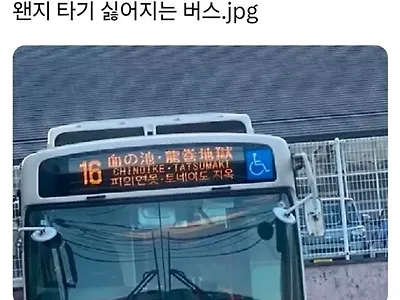 이거 정말 가는 거야?