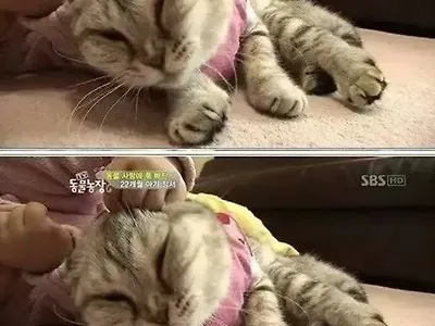 고생이 많네