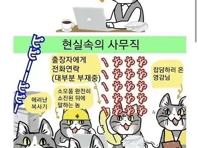 상상과 현실 속 중소기업 사무직