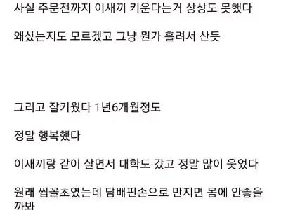 마음은 따뜻한 놈