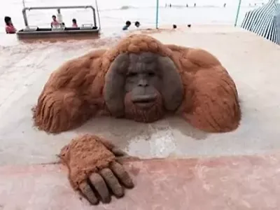 모래로도 이정도 퀄리티
