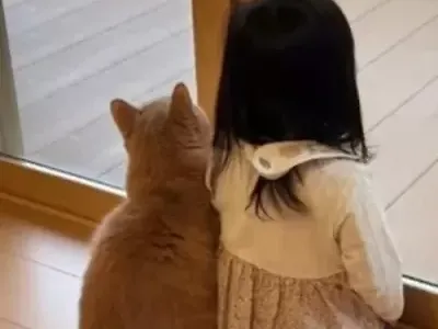 심쿵~