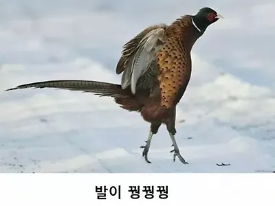 모두들 감기 조심하세요