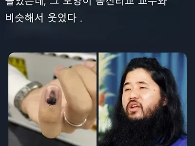 진짜 비슷하네요ㅋㅋ