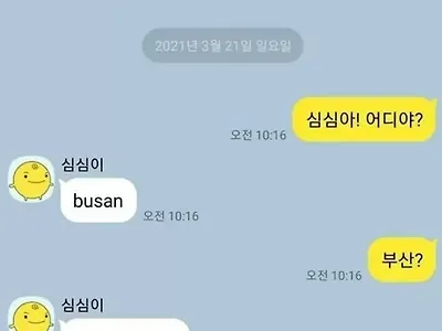심심이가 넘버원