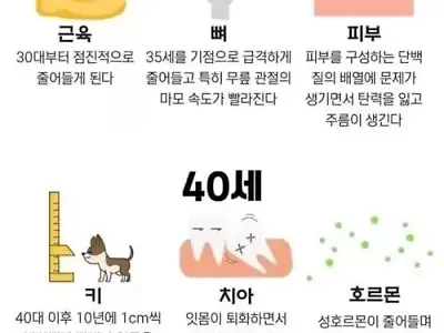 맞는 거 같기도