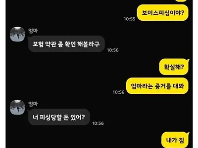 피싱 당할 돈 없어 ㅋㅋㅋㅋ