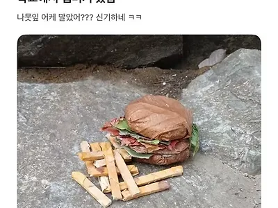 와퍼인줄 ㄷㄷ