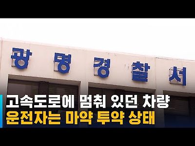 고속도로에 멈춰 있던 차량…운전자는 마약 투약 상태