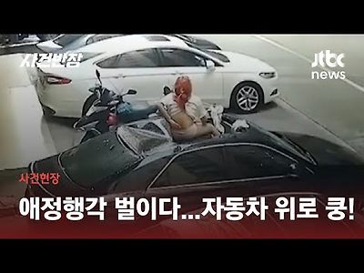 발코니에서 성관계 하다가 주차된 차 위로 떨어진 여성