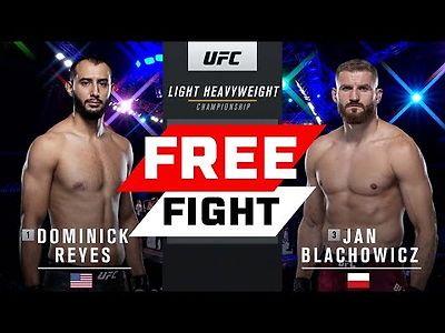 유에프씨 Jan Blachowicz vs Dominick Reyes