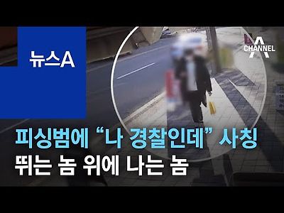 피싱범에 “나 경찰인데” 사칭…뛰는 놈 위에 나는 놈