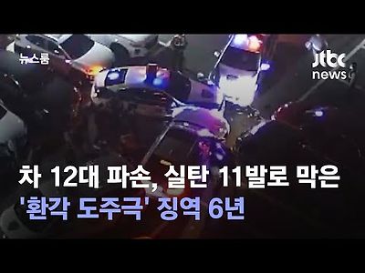 차량 12대 파손, 실탄 11발 쏴 막은 '환각 도주극'…징역 6년