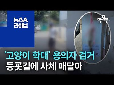 ‘고양이 학대’ 용의자 검거…등굣길에 사체 매달아