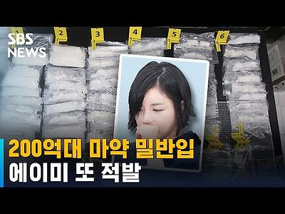 전기 소켓에 200억대 마약 숨겼다…에이미 또 적발