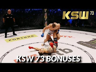 KSW 경기 화끈하네요 ^^