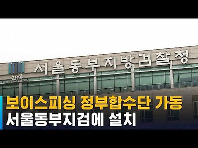 보이스피싱 정부합수단 가동…서울동부지검에 설치