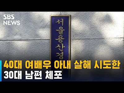 40대 여배우 아내 흉기 살해 시도한 30대 남편 체포