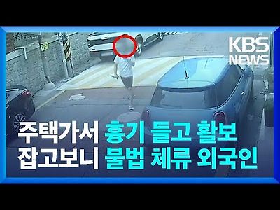 불법체류 외국인 흉기 들고 활보…시민 공포