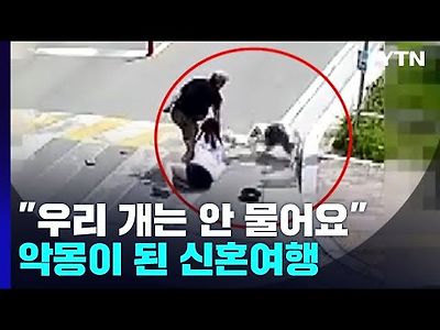 &#034;우리 개는 안 물어요&#034;...애견인 착각에 사고 반복