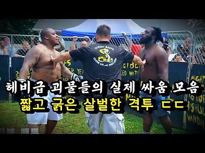 합쳐서 몸무게 250KG ㄷㄷ 실제 헤비급 싸움 모음